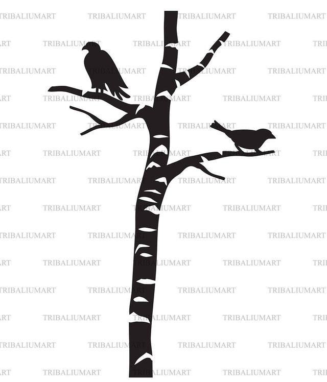 Birch tree with birds SVG TribaliumArtSF 
