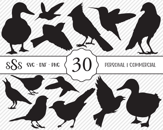 Bird Bundle | Outdoor SVG SVG Texas Southern Cuts 