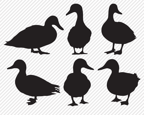 Bird Bundle | Outdoor SVG SVG Texas Southern Cuts 