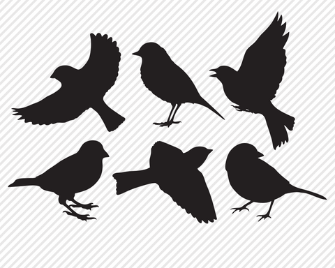 Bird Bundle | Outdoor SVG SVG Texas Southern Cuts 