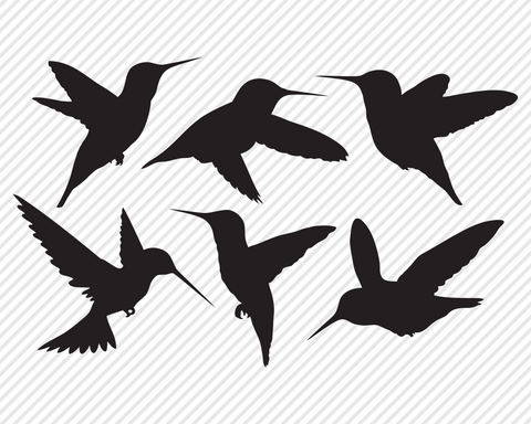 Bird Bundle | Outdoor SVG SVG Texas Southern Cuts 