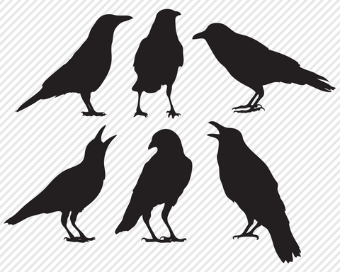 Bird Bundle | Outdoor SVG SVG Texas Southern Cuts 