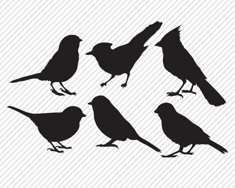 Bird Bundle | Outdoor SVG SVG Texas Southern Cuts 