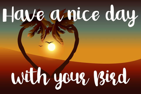 Bird Day Font Supersemar Letter 