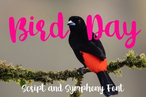 Bird Day Font Supersemar Letter 