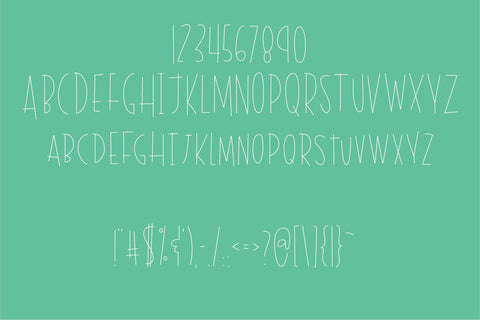 Bird Feathers Hairline Font Kitaleigh 