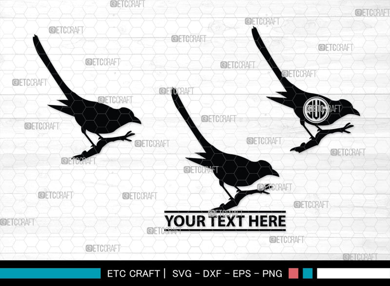 Bird Monogram, Bird Silhouette, Bird SVG, Parrot Svg, Sparrow Svg, Hummingbird Svg, SB00229 SVG ETC Craft 