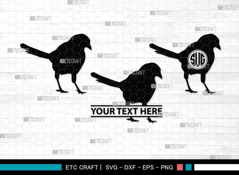 Bird Monogram, Bird Silhouette, Bird SVG, Parrot Svg, Sparrow Svg, Hummingbird Svg, SB00229 SVG ETC Craft 