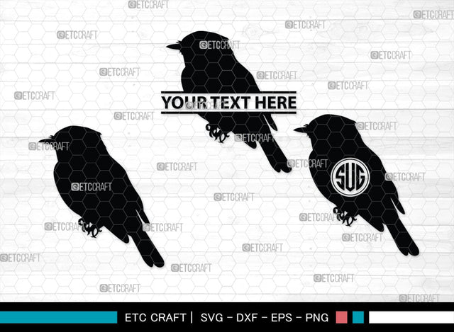 Bird Monogram, Bird Silhouette, Bird SVG, Parrot Svg, Sparrow Svg, Hummingbird Svg, SB00229 SVG ETC Craft 