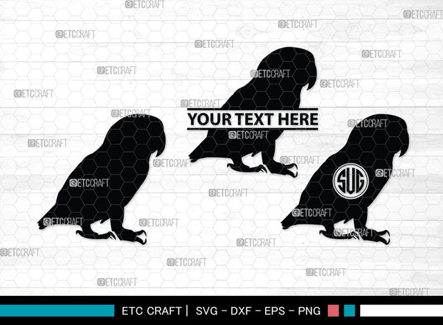 Bird Monogram, Bird Silhouette, Bird SVG, Parrot Svg, Sparrow Svg, Hummingbird Svg, SB00229 SVG ETC Craft 