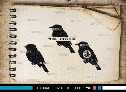 Bird Monogram, Bird Silhouette, Bird SVG, Parrot Svg, Sparrow Svg, Hummingbird Svg, SB00229 SVG ETC Craft 