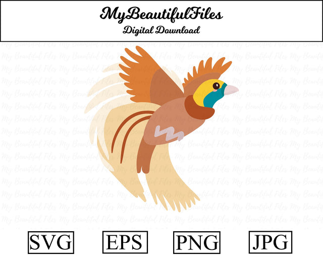 Bird of Paradise - Animal SVG MyBeautifulFiles 