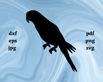 Bird SVG Cut File SVG Northern Light SVG 