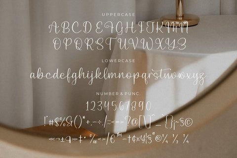 Birdeline Yashintta - Beauty Script Font Font Storytype Studio 