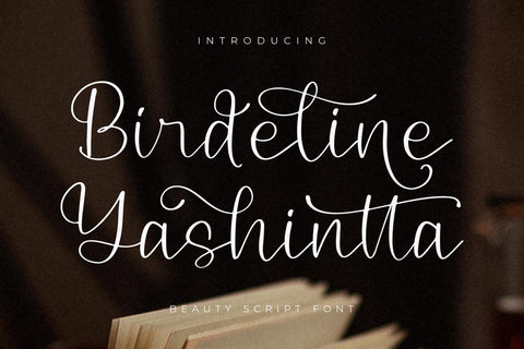 Birdeline Yashintta - Beauty Script Font Font Storytype Studio 