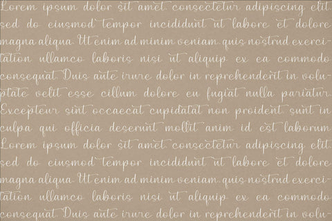 Birdeline Yashintta - Beauty Script Font Font Storytype Studio 