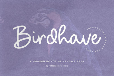 Birdhave Modern Monoline Handwritten Font Font Letterative 