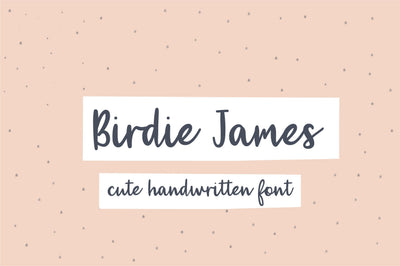 Birdie James Font Sunday Nomad 