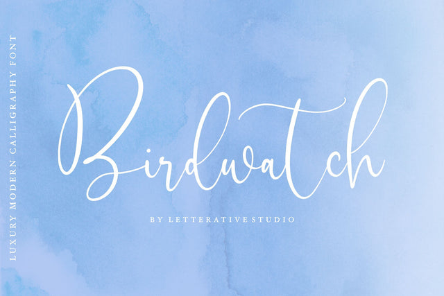 Birdwatch Luxury Modern Calligraphy Font Font Letterative 