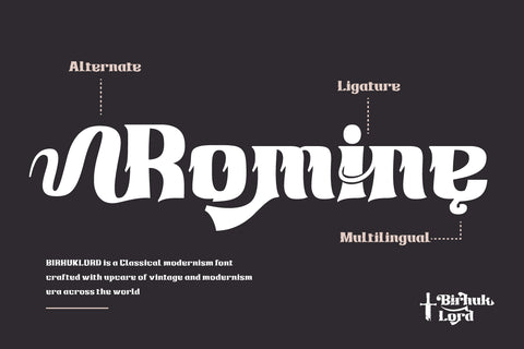 Birhuk Lord | Display Hero Font Font twinletter 