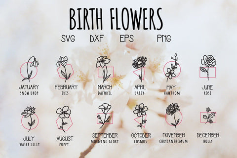 Birth Flower Hand Drawn Svg SVG dadan_pm 