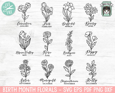 Birth Month Flower Bundle SVG, Birth Flowers svg file, Birth Month Floral svg cut file, Botanical Illustrations SVG, Rose Poppy Iris Holly svg SVG Wild Pilot 