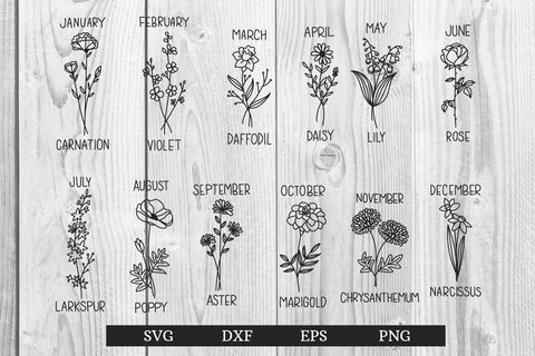 Birth Month Flowers Clipart Floral Graphic SVG dadan_pm 