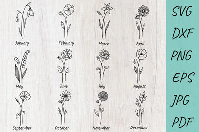 Birth month flowers SVG bundle | Clipart floral graphic SVG Irina Ostapenko 