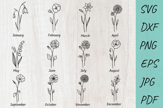 Birth month flowers SVG bundle | Clipart floral graphic SVG Irina Ostapenko 