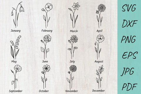 Birth month flowers SVG bundle | Clipart floral graphic SVG Irina Ostapenko 