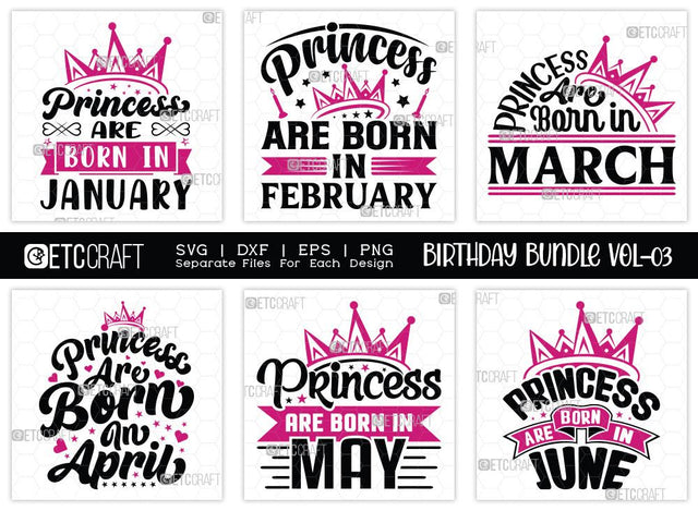 Birthday Bundle Vol-03 | Birthday Queen SVG | Princess Are Born | In January Svg | In February Svg | In March Svg | In April | In May Svg | In June Svg | Quotes Svg SVG ETC Craft 