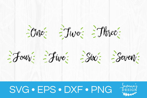 Birthday Cut File Bundle SVG SavanasDesign 