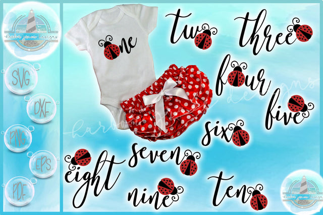 Birthday Ladybug Bundle One Through Eight Years Old SVG SVG SVGcraze 