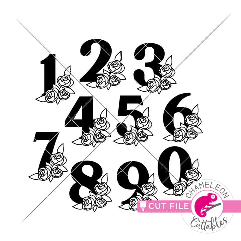 Birthday Numbers with Flowers svg png dxf SVG Chameleon Cuttables 