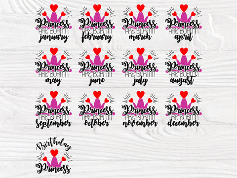Birthday princess SVG | 12 months birthday princess | Birthday cut files for cricut and silhouette | Princess are born in | Princess bundle SVG TonisArtStudio 