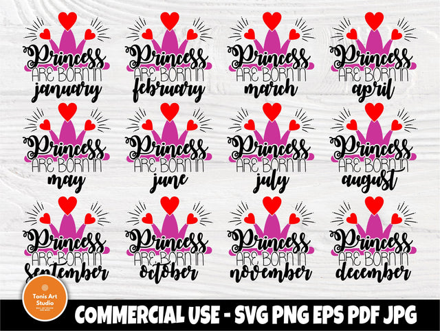 Birthday princess SVG | 12 months birthday princess | Birthday cut files for cricut and silhouette | Princess are born in | Princess bundle SVG TonisArtStudio 
