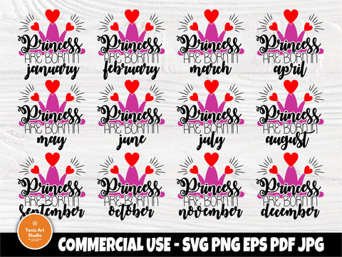 Birthday princess SVG | 12 months birthday princess | Birthday cut files for cricut and silhouette | Princess are born in | Princess bundle SVG TonisArtStudio 