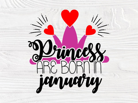 Birthday princess SVG | 12 months birthday princess | Birthday cut files for cricut and silhouette | Princess are born in | Princess bundle SVG TonisArtStudio 