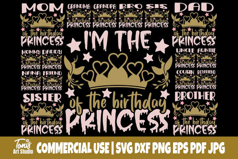 Birthday Princess SVG Bundle, Birthday Party Shirt SVG TonisArtStudio 