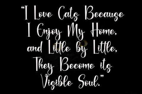 Black Catthie Font Afandi Studio 