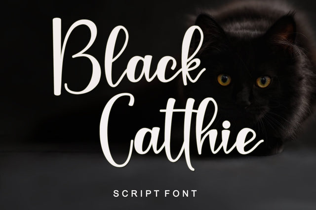 Black Catthie Font Afandi Studio 