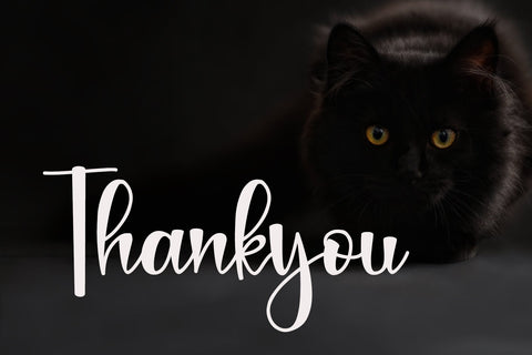 Black Catthie Font Afandi Studio 