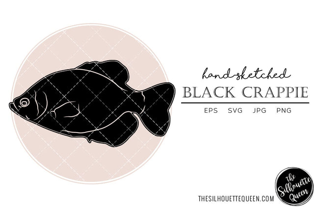 Black Crappie Hand sketched, hand drawn vector clipart SVG Loveleen Kaur 
