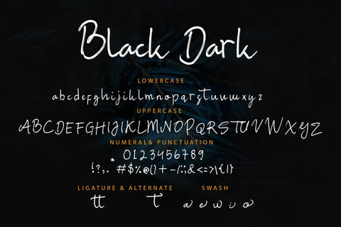 Black Dark Font LetterdayStudio 