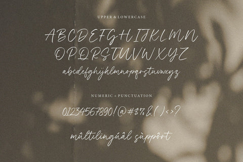 Black Forest Modern Handwritten Font Font Letterative 