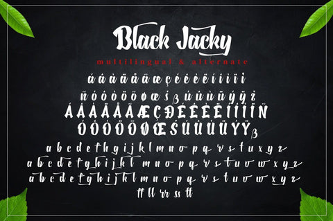 Black Jacky - Bold Script Font Font Ibey Design 