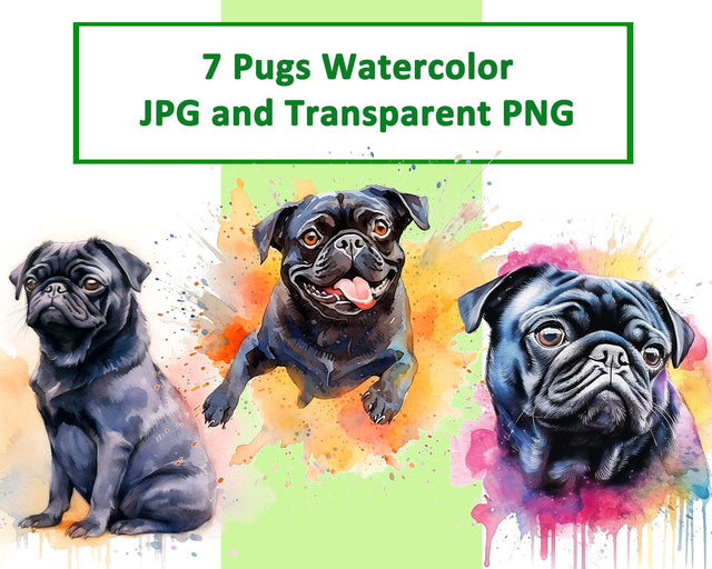 Black Pug Watercolor JPG PNG Sublimation nikola 