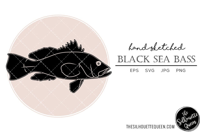 Black Sea Bass Hand sketched, hand drawn vector clipart SVG Loveleen Kaur 