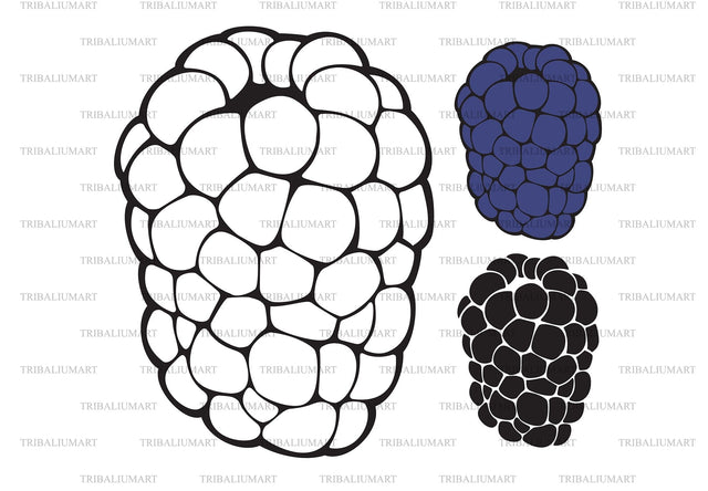 Blackberry fruit SVG TribaliumArtSF 
