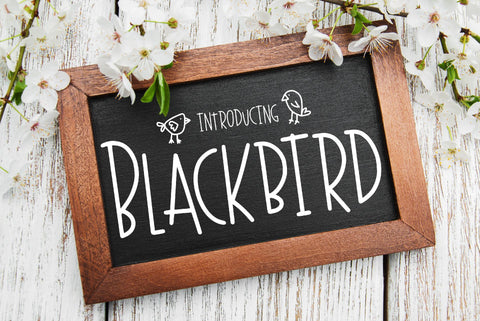 Blackbird Font Kitaleigh 